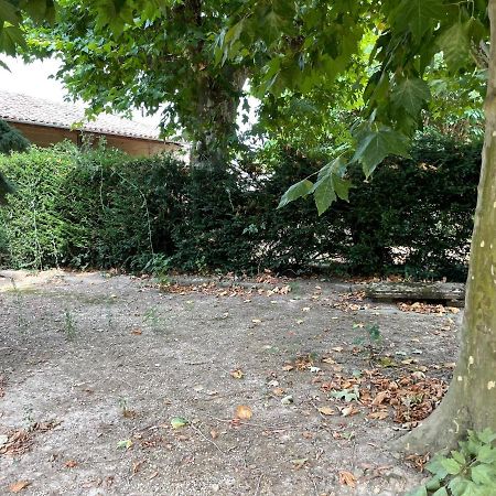 Le Clos Des Cadots - Chambre Chaintré Zewnętrze zdjęcie